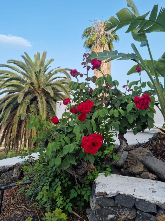 Rural Jardines La Quinta Villa El Paso Ngoại thất bức ảnh
