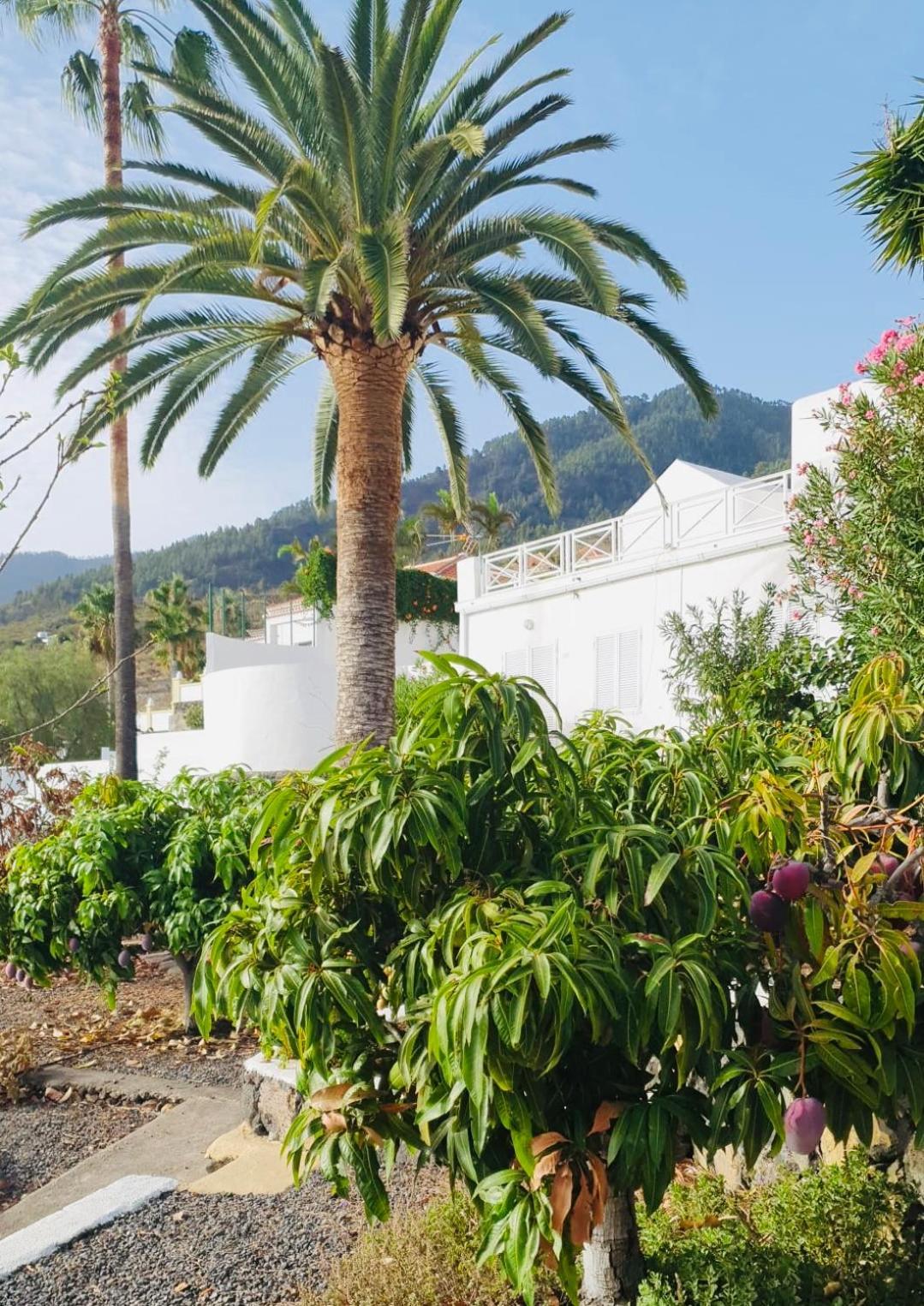 Rural Jardines La Quinta Villa El Paso Ngoại thất bức ảnh